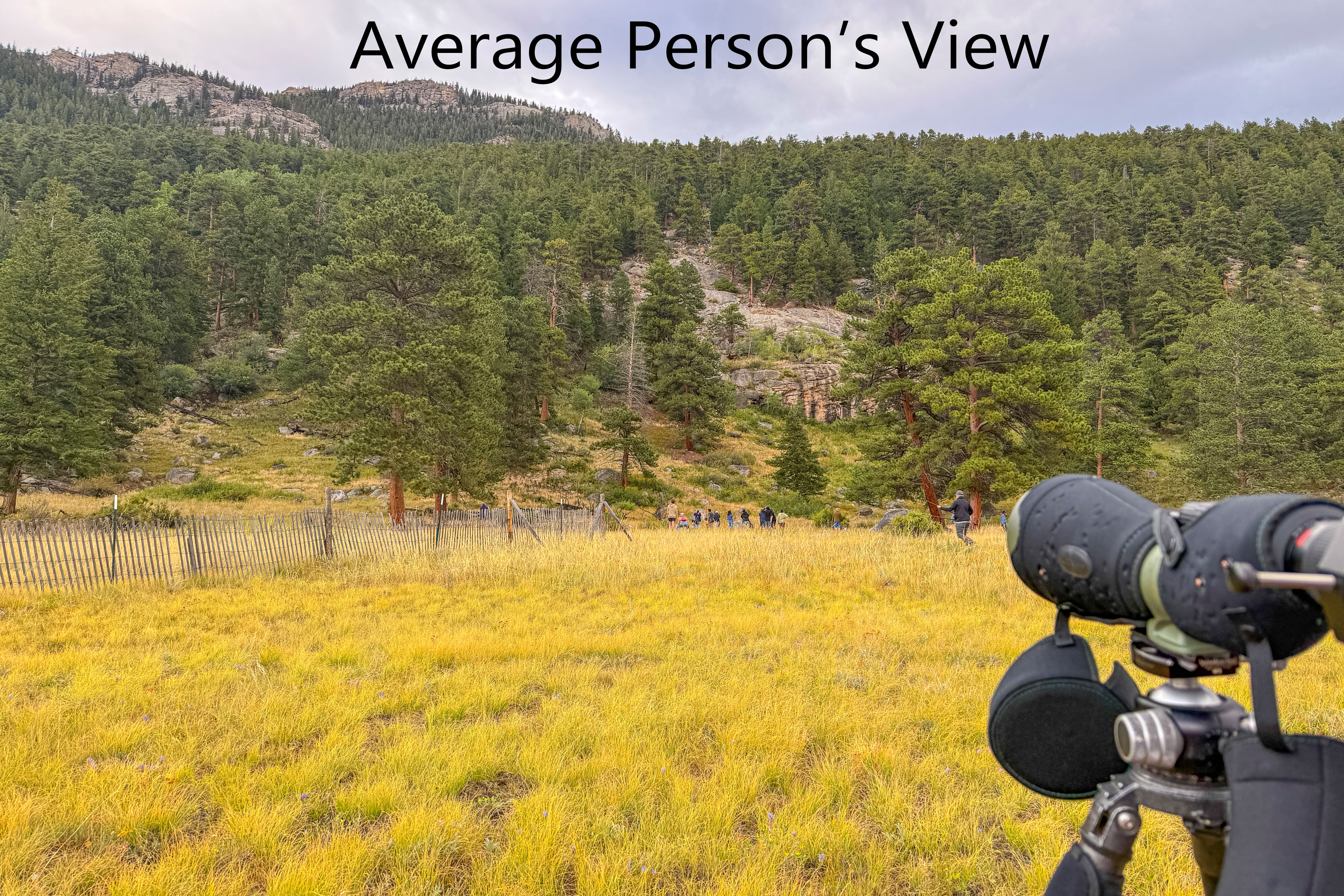average persons view